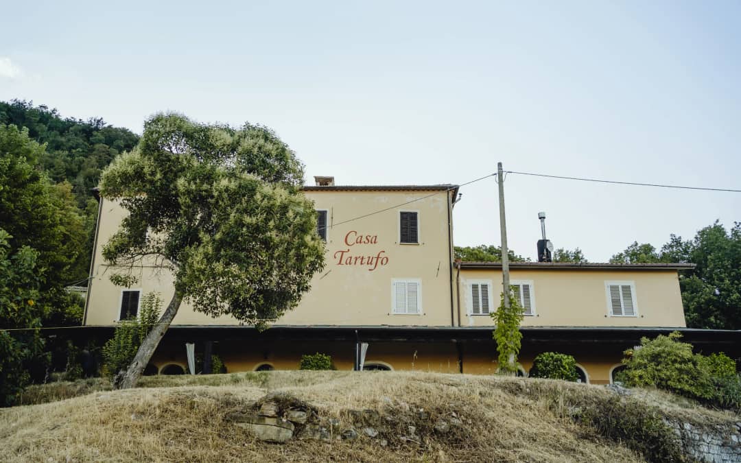 Geel landhuis Casa Tartufo in Toscaanse stijl met groene klimop, omgeven door bomen en heuvels onder blauwe hemel.