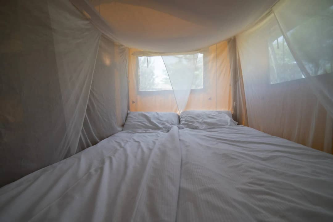 Safari Lodge 2-6P