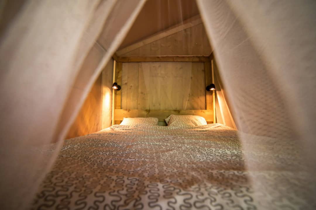 Safari Lodge 2-4P