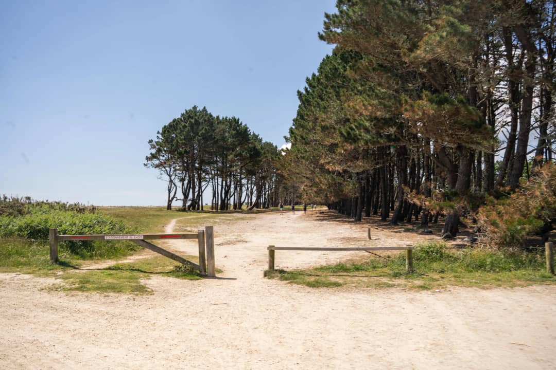 Camping Kost Ar Moor
