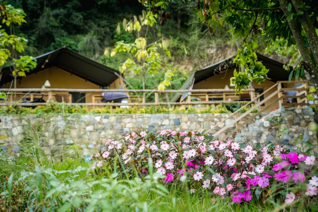 Camping Delle Rose