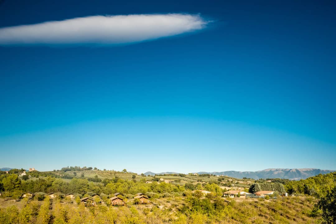 Olijfgaarden en glooiende heuvels van Umbrië onder een strakblauwe lucht